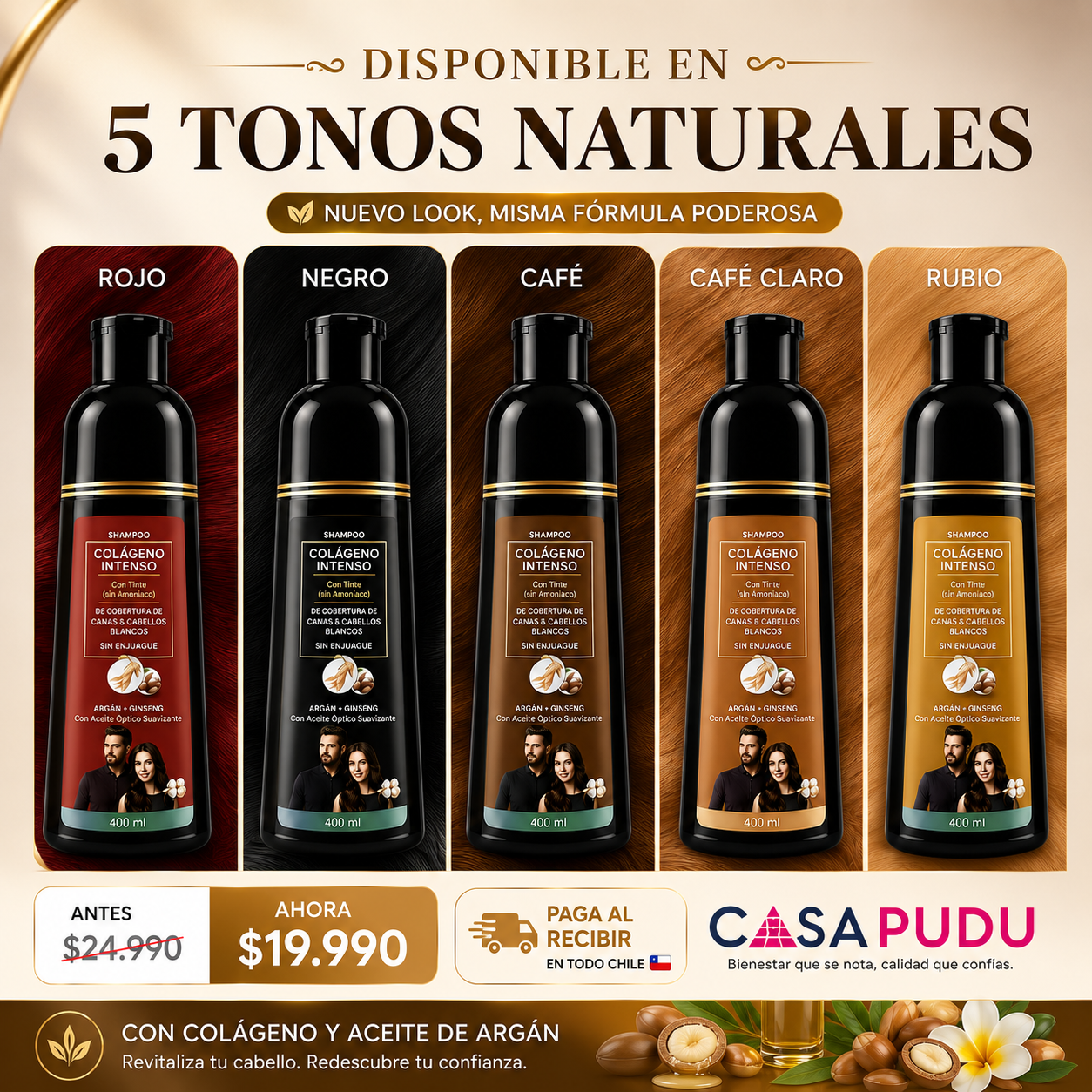 SHAMPOO COLORANTE TINTE CUBRE CANAS